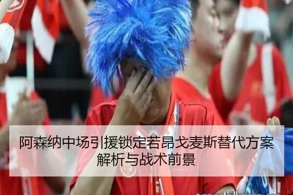 阿森纳中场引援锁定若昂戈麦斯替代方案解析与战术前景